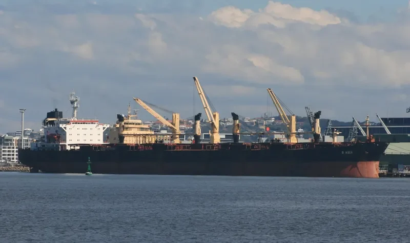 SHUN FU Bulk Carrier IMO 8806503 photo 8