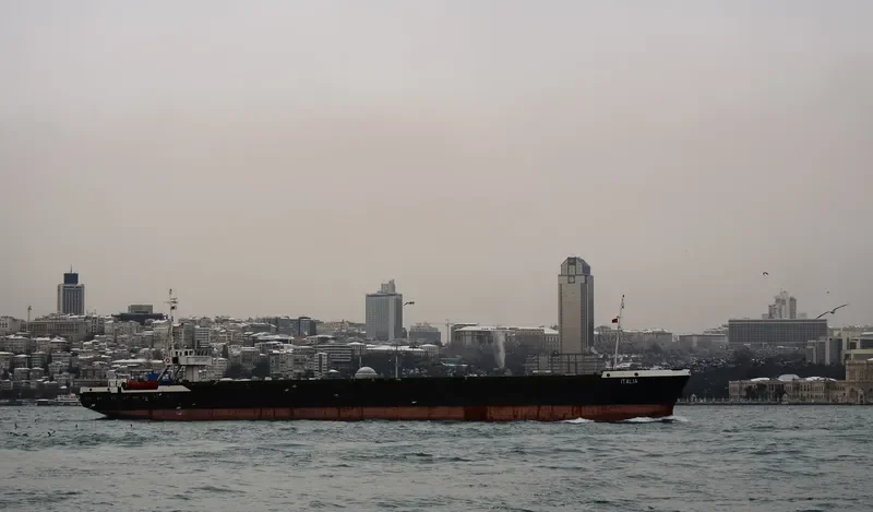 ITALIANO Container Ship IMO 8806785 photo 3