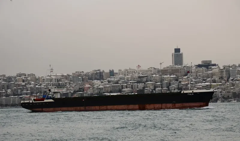 ITALIANO Container Ship IMO 8806785 photo 4