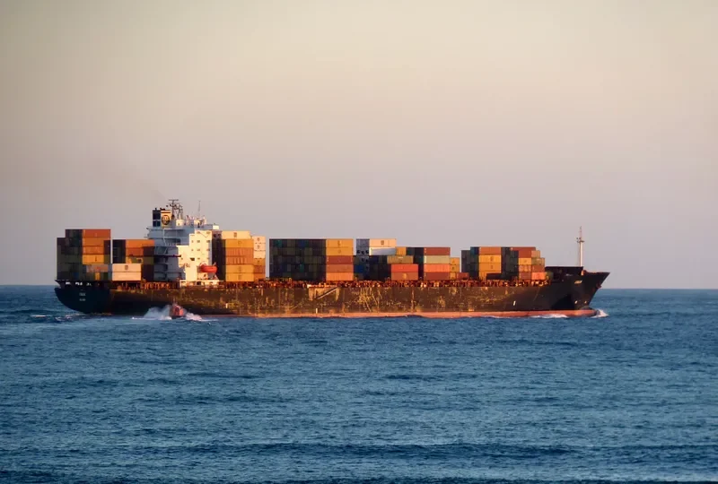 ITALIANO Container Ship IMO 8806785 photo 5