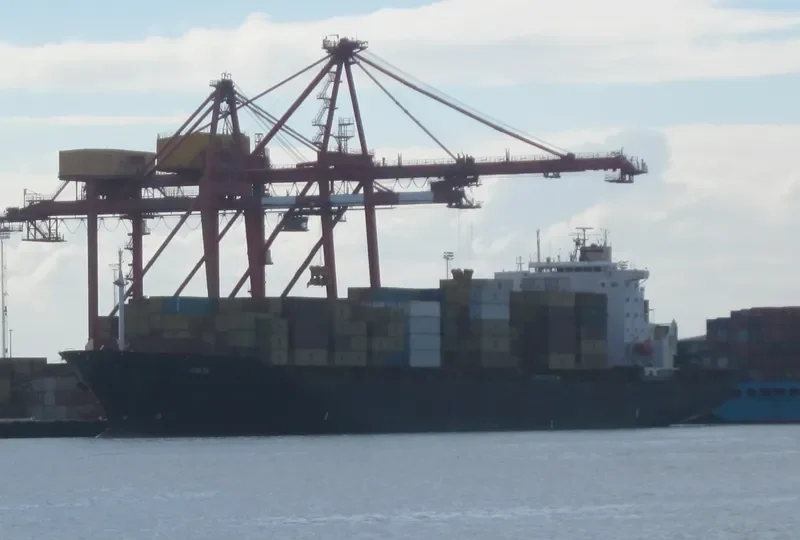 ITALIANO Container Ship IMO 8806785 photo 8