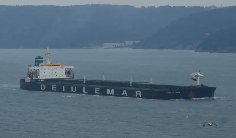 ABYO TWO Bulk Carrier IMO 8807026 photo 2