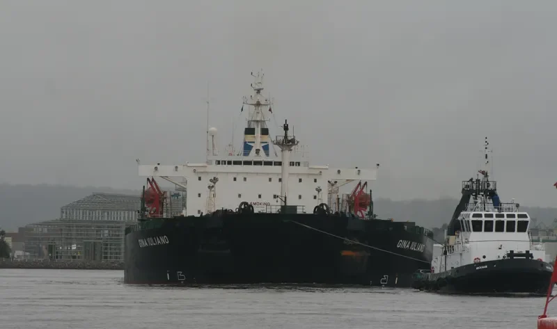 ABYO TWO Bulk Carrier IMO 8807026 photo 3