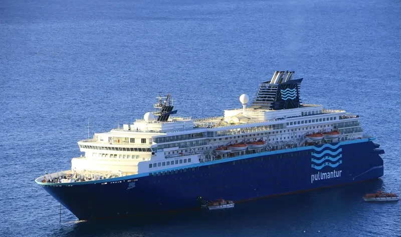 HORIZON Passenger Ship IMO 8807088 photo 3