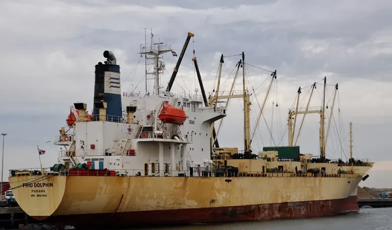 FRIO DOLPHIN General Cargo IMO 8807442