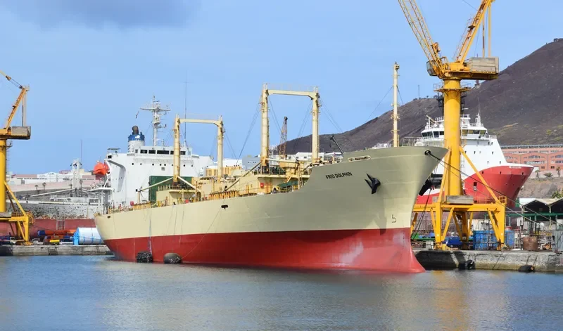 FRIO DOLPHIN General Cargo IMO 8807442 photo 6