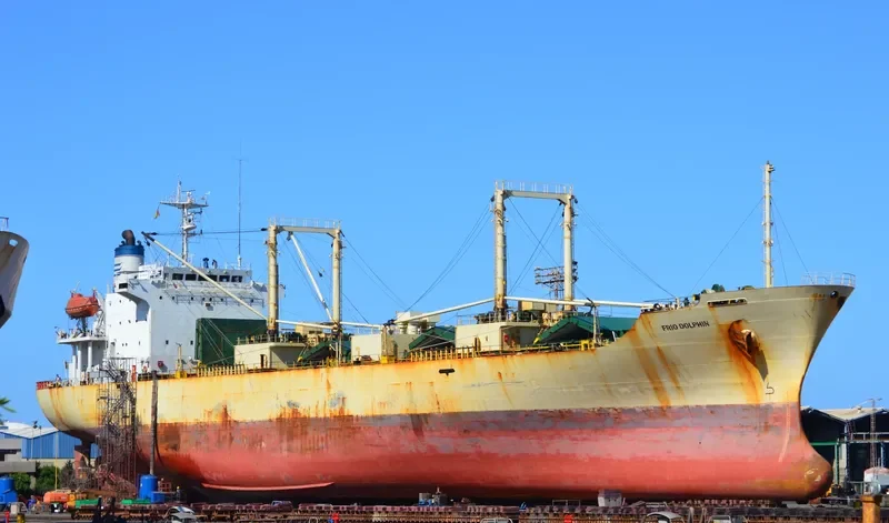 FRIO DOLPHIN General Cargo IMO 8807442 photo 7