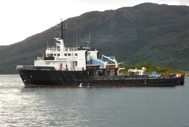 SD WARDEN General Cargo IMO 8807600 photo 2