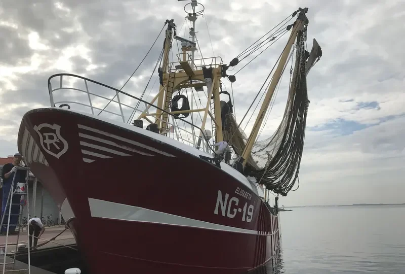 ELISABETH General Cargo IMO 8807820