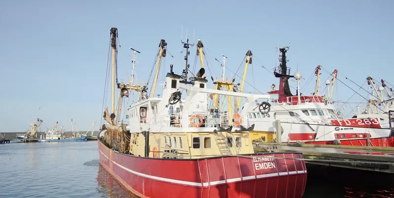 ELISABETH General Cargo IMO 8807820 photo 5