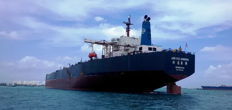 LAIWU STEEL HARMONIOUS Bulk Carrier IMO 8808068