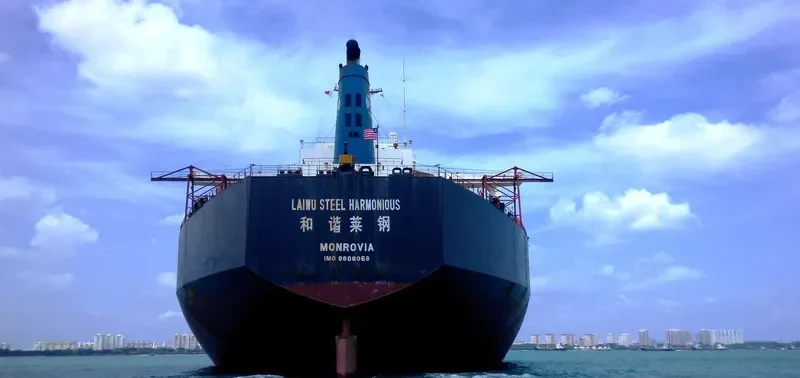 LAIWU STEEL HARMONIOUS Bulk Carrier IMO 8808068 photo 2