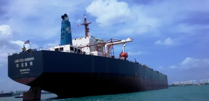 LAIWU STEEL HARMONIOUS Bulk Carrier IMO 8808068 photo 3