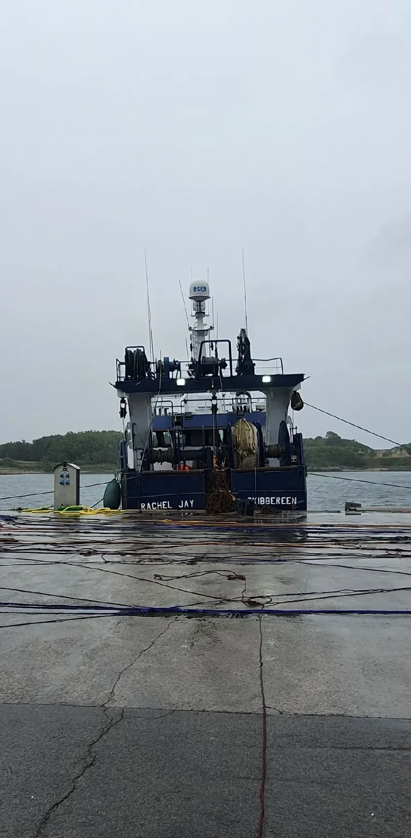 AMADEUS General Cargo IMO 8808939
