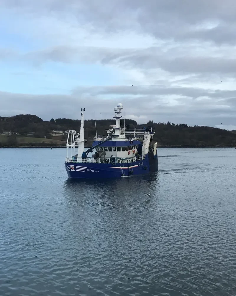AMADEUS General Cargo IMO 8808939 photo 6