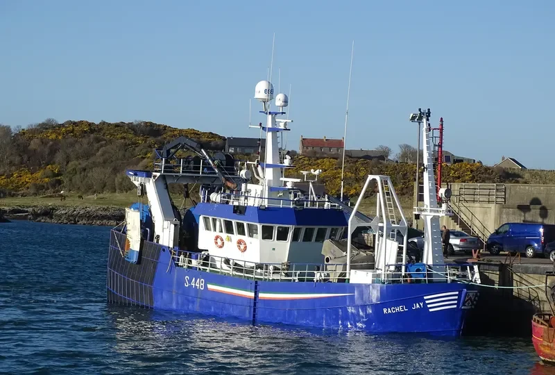 AMADEUS General Cargo IMO 8808939 photo 7