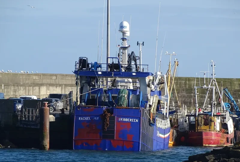 AMADEUS General Cargo IMO 8808939 photo 8