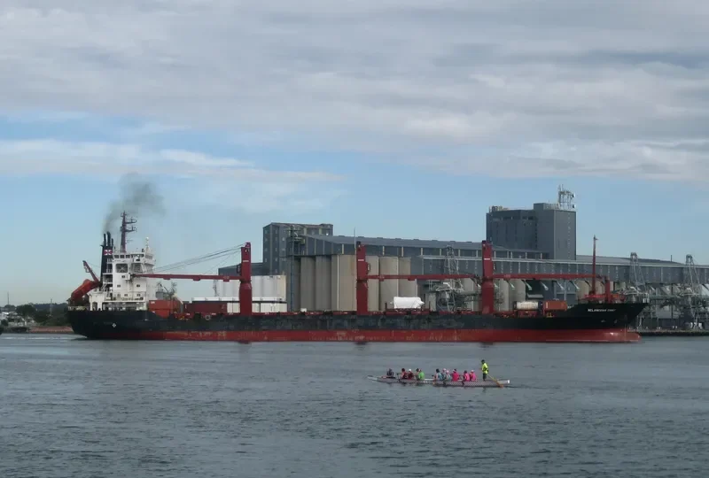 MELANESIAN CHIEF Container Ship IMO 8809191 photo 3