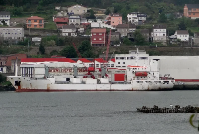 URGULL General Cargo IMO 8810190 photo 7