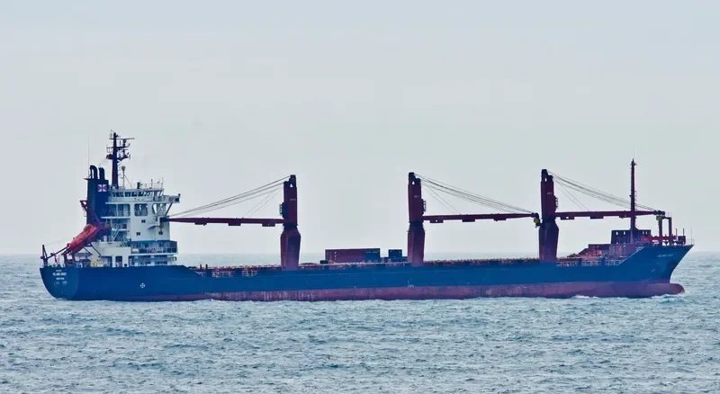 ISLAND CHIEF Container Ship IMO 8810449 photo 5