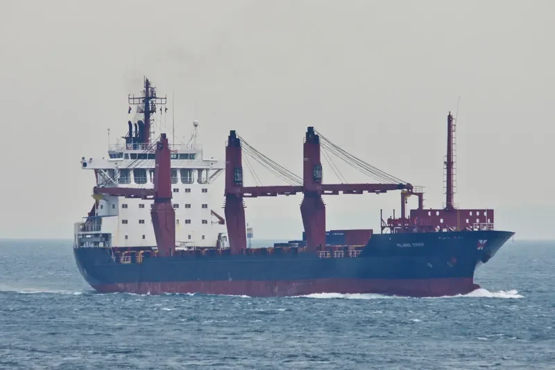 ISLAND CHIEF Container Ship IMO 8810449 photo 6
