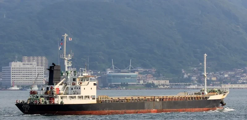 DIANA General Cargo IMO 8810516