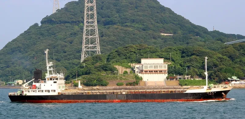 DIANA General Cargo IMO 8810516 photo 2