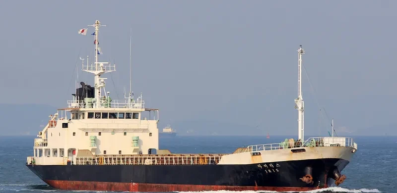 DIANA General Cargo IMO 8810516 photo 3