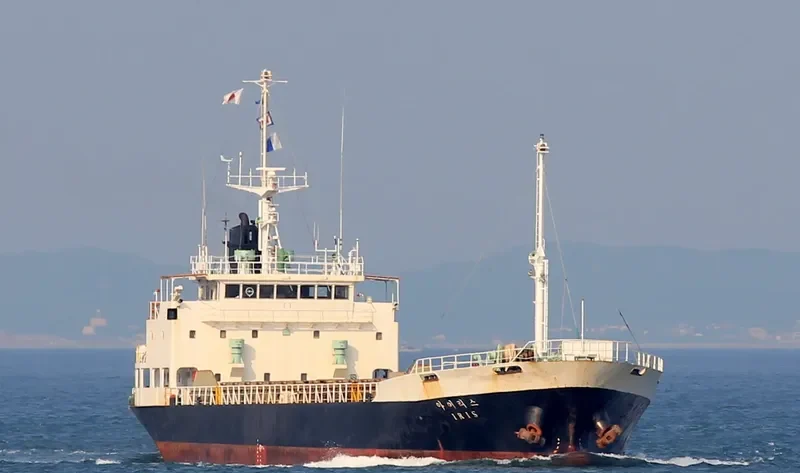 DIANA General Cargo IMO 8810516 photo 4