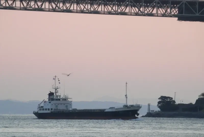 DIANA General Cargo IMO 8810516 photo 5