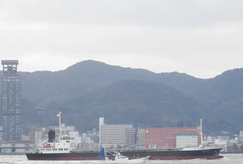 DIANA General Cargo IMO 8810516 photo 6