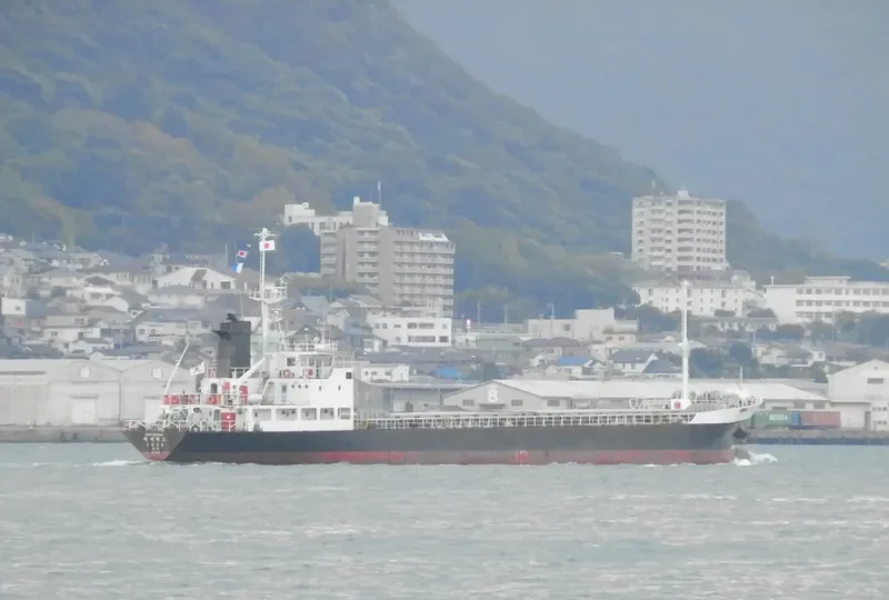 DIANA General Cargo IMO 8810516 photo 7