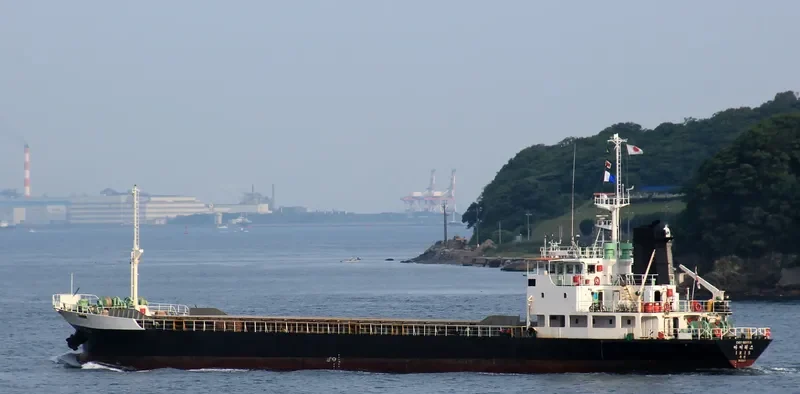 DIANA General Cargo IMO 8810516 photo 8