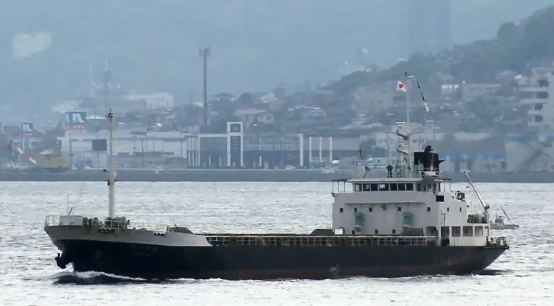 DIANA General Cargo IMO 8810516 photo 9