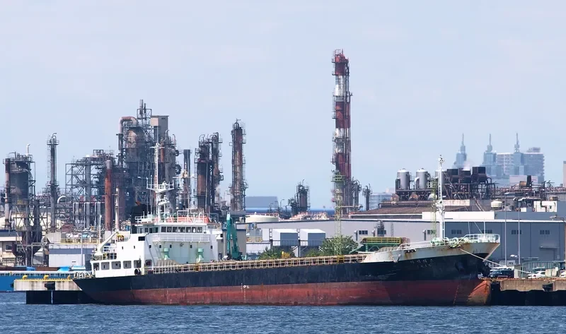 DIANA General Cargo IMO 8810516 photo 10