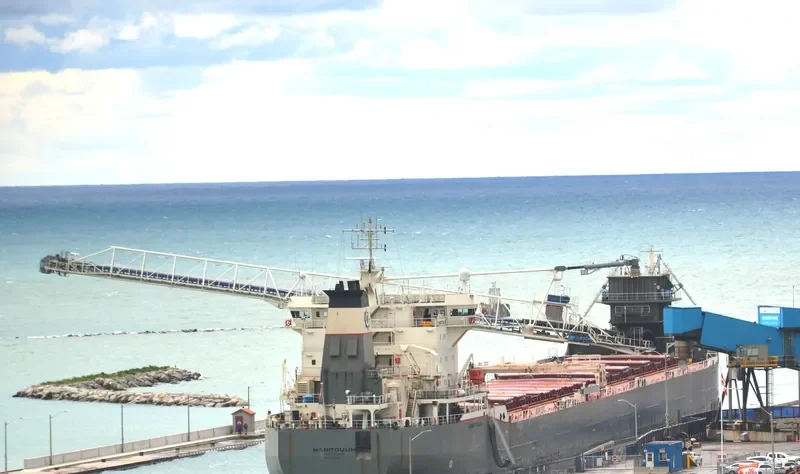 MANITOULIN Bulk Carrier IMO 8810918 photo 3
