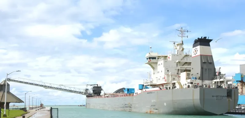 MANITOULIN Bulk Carrier IMO 8810918 photo 5