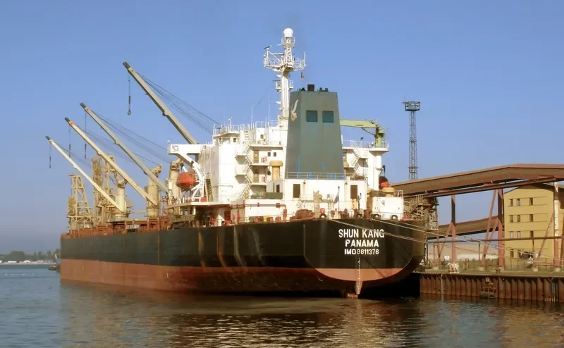 SHUN KANG Bulk Carrier IMO 8811376 photo 2