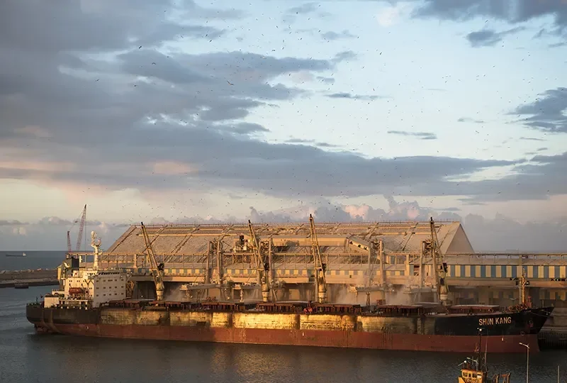 SHUN KANG Bulk Carrier IMO 8811376 photo 4