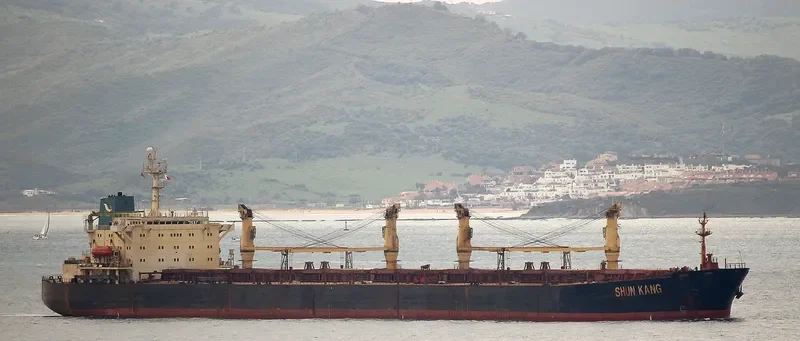 SHUN KANG Bulk Carrier IMO 8811376 photo 5