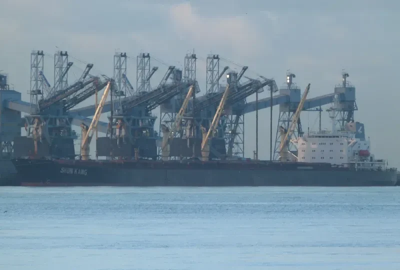 SHUN KANG Bulk Carrier IMO 8811376 photo 7