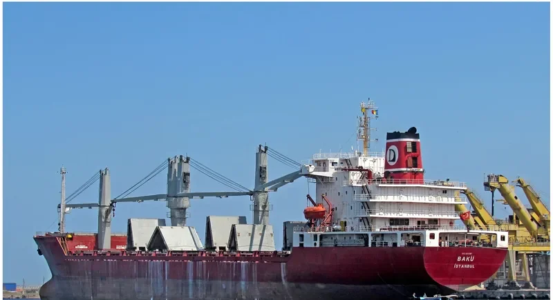IPEK OBA Container Ship IMO 8811390 photo 5