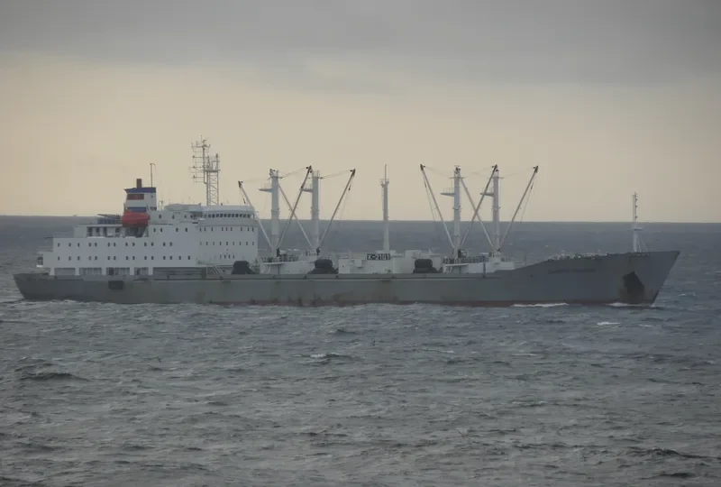 PAMYAT ILICHA General Cargo IMO 8811675