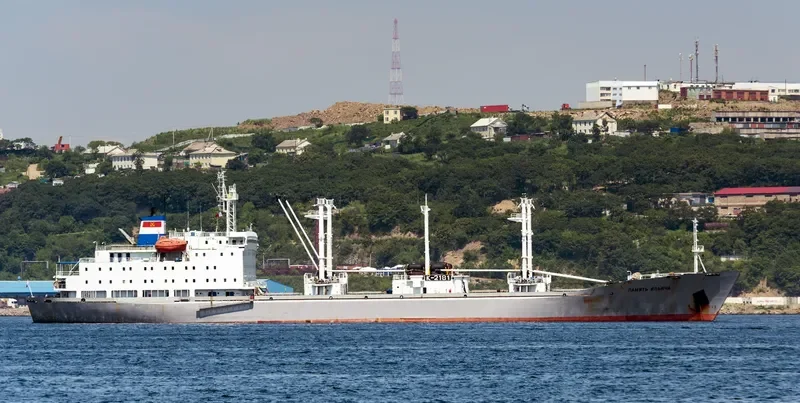 PAMYAT ILICHA General Cargo IMO 8811675 photo 4