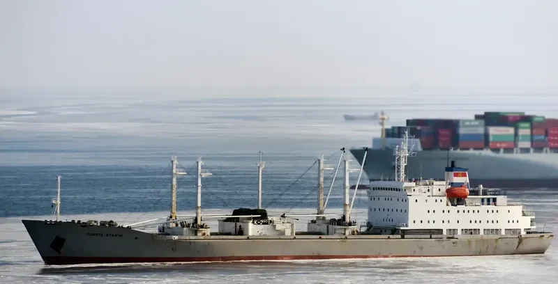 PAMYAT ILICHA General Cargo IMO 8811675 photo 5