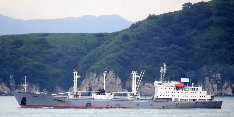 PAMYAT ILICHA General Cargo IMO 8811675 photo 6