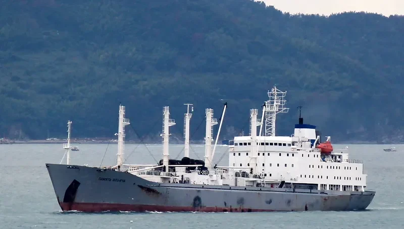 PAMYAT ILICHA General Cargo IMO 8811675 photo 7