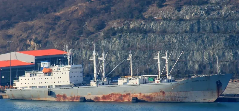 PAMYAT ILICHA General Cargo IMO 8811675 photo 8