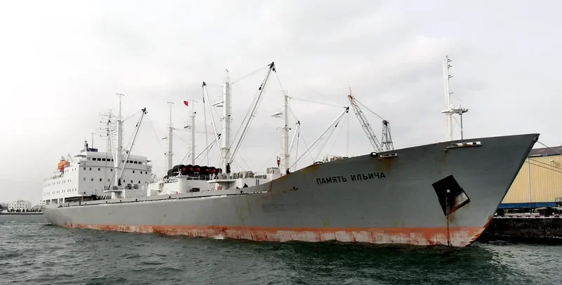 PAMYAT ILICHA General Cargo IMO 8811675 photo 9