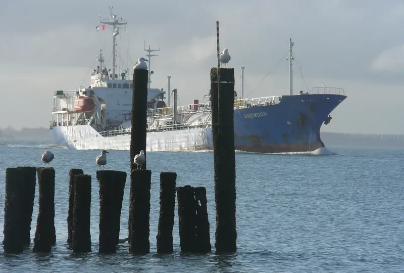 OCEANUS General Cargo IMO 8811754 photo 7